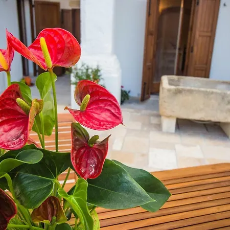 Bed & Breakfast I Santi Medici *